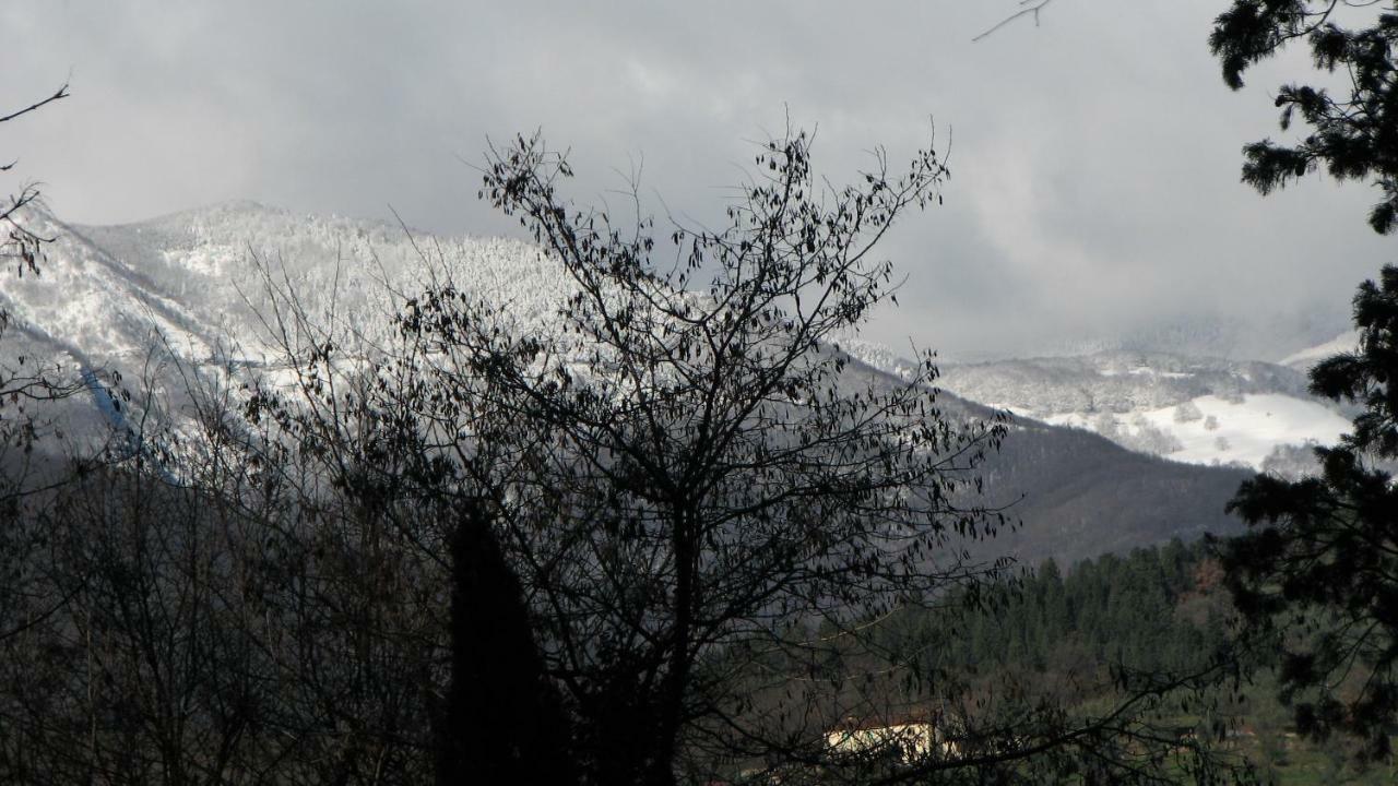 Borgo Della Rocca Bed & Breakfast Montemurlo Exterior photo